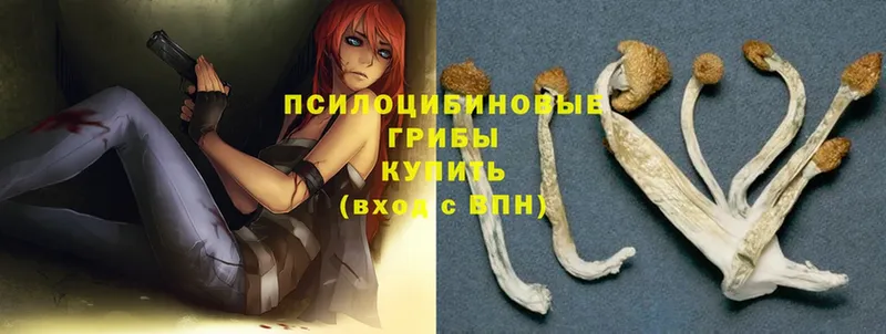 Галлюциногенные грибы Magic Shrooms  мега как войти  Кубинка 